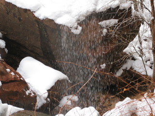 beth's Sunday zion-trip pictures - Zion National Park - Emerald Ponds hike