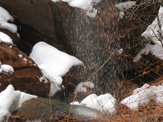 beth's Sunday zion-trip pictures - Zion National Park - Emerald Ponds hike