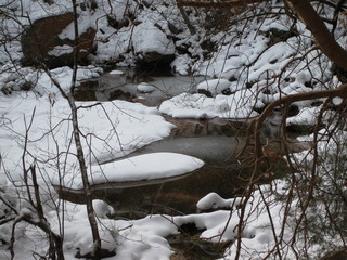 beth's Sunday zion-trip pictures - Zion National Park - Emerald Ponds hike