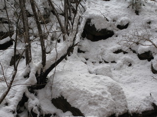 beth's Sunday zion-trip pictures - Zion National Park - Emerald Ponds hike