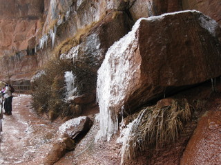 beth's Sunday zion-trip pictures - Zion National Park - Emerald Ponds hike