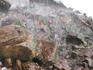 beth's Sunday zion-trip pictures - Zion National Park - Emerald Ponds hike