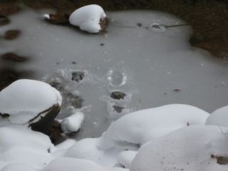 beth's Sunday zion-trip pictures - Zion National Park - Emerald Ponds hike