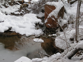 beth's Sunday zion-trip pictures - Zion National Park - Emerald Ponds hike