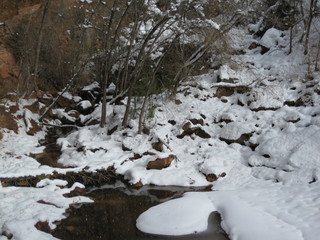 beth's Sunday zion-trip pictures - Zion National Park - Emerald Ponds hike