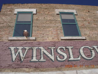 Standing in the Corner in Winslow Arizona