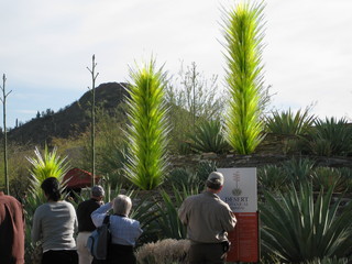 beth's Dale Chihuly pictures -