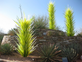 beth's Dale Chihuly pictures -