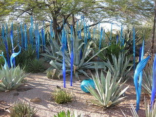 beth's Dale Chihuly pictures -