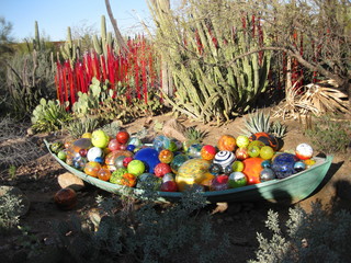 beth's Dale Chihuly pictures -