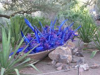 beth's Dale Chihuly pictures -