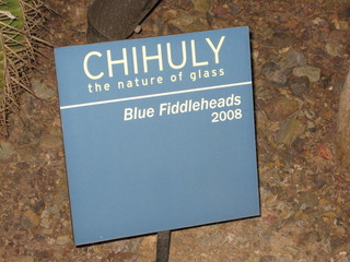 beth's Dale Chihuly pictures -