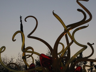 beth's Dale Chihuly pictures -