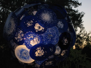 beth's Dale Chihuly pictures -