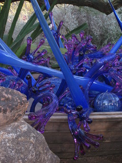 beth's Dale Chihuly pictures - Dita