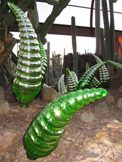 beth's Dale Chihuly pictures -