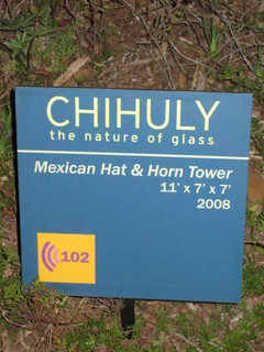 beth's Dale Chihuly pictures -