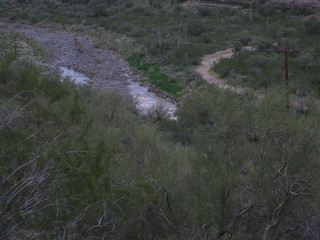 beth's pictures - Cave Creek mine hike - Adam taking flower picture