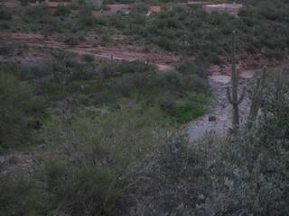beth's pictures - Cave Creek mine hike - 'raging' river