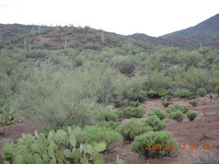 aerial - Red Creek airstrip