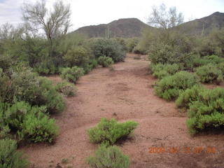 Red Creek airstrip run - runway