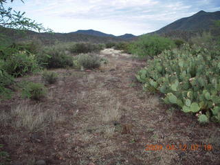 Red Creek airstrip run