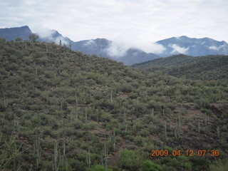 Red Creek airstrip run - fence