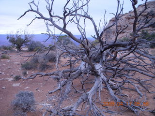21 6uh. Canyonlands - Lathrop trail hike