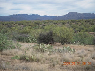 Superior Airport (E81) run - cool cactus