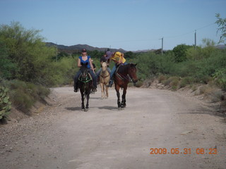 Superior Airport (E81) run - horses and riders