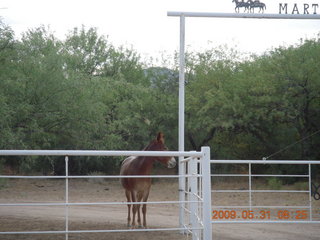 Superior Airport (E81) run