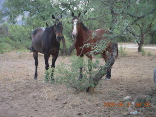 Superior Airport (E81) run