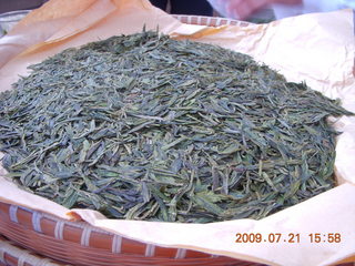 157 6xm. China eclipse - West Lake - tea plantation