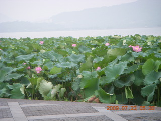 China eclipse - Hangzhou hotel