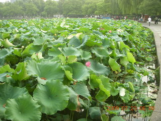 China eclipse - Hangzhou run - West Lake