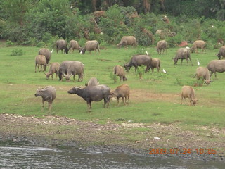 125 6xq. China eclipse - Li River  boat tour