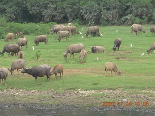 126 6xq. China eclipse - Li River  boat tour