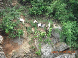 147 6xq. China eclipse - Li River  boat tour