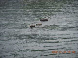 China eclipse - Li River  boat tour