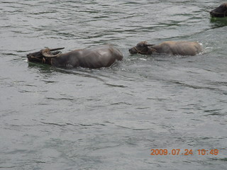 China eclipse - Li River  boat tour