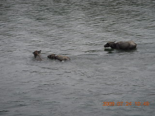 222 6xq. China eclipse - Li River  boat tour