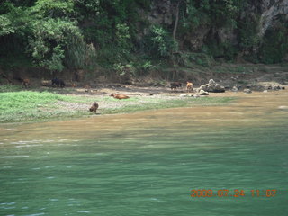 264 6xq. China eclipse - Li River  boat tour