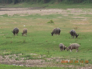 455 6xq. China eclipse - Li River  boat tour