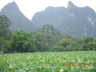 China eclipse - Yangshuo run - lotuses and mountains