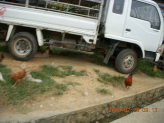 China eclipse - Yangshuo bicycle ride - chickens