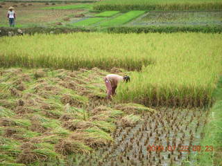 China eclipse - Yangshuo bicycle ride - walk to farm village - rice farming