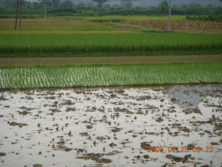 China eclipse - Yangshuo bicycle ride - walk to farm village - rice paddy