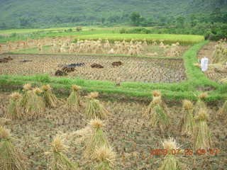 China eclipse - Yangshuo bicycle ride - walk to farm village - locking bicycles