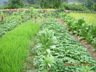 China eclipse - Yangshuo bicycle ride - walk to farm village