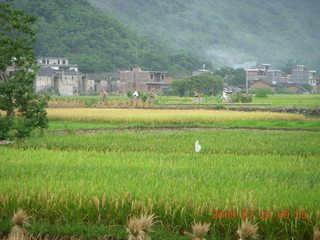 168 6xr. China eclipse - Yangshuo bicycle ride - walk to farm village